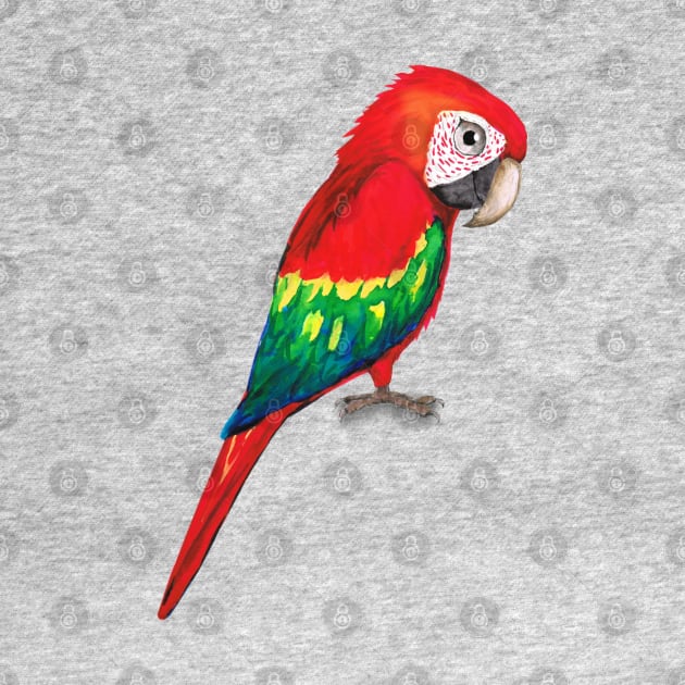 Scarlet macaw by Bwiselizzy